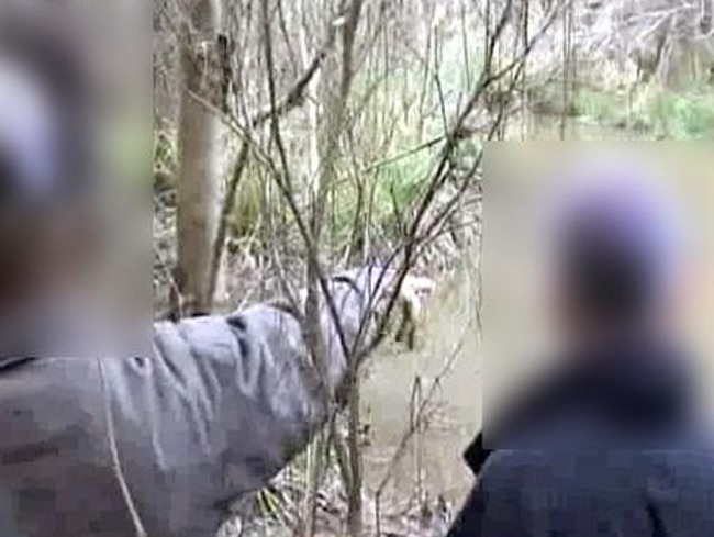 Brett Cowan shows police where disposed of Daniel Morcombe’s body.