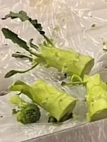 People have been snapping off broccoli stalks. Picture: TikTok/jenn_shaw_