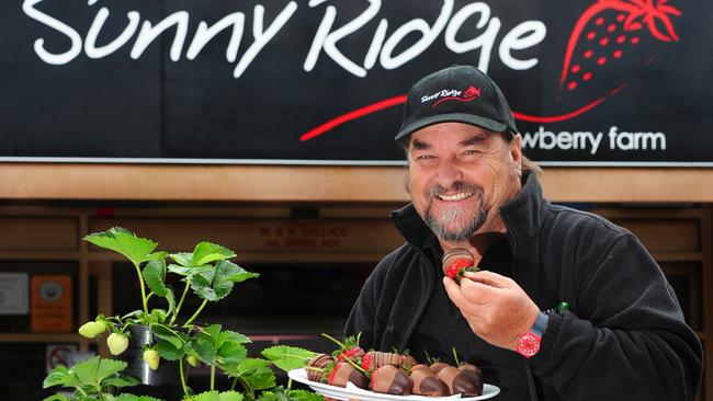 Sunny Ridge strawberry farm and cafe. Owner Mick Gallace.