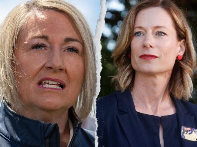 Liberal candidate Susie Bower and Labor candidate Rebecca White to face off for marginal federal seat Lyons. Merc thumbnail.