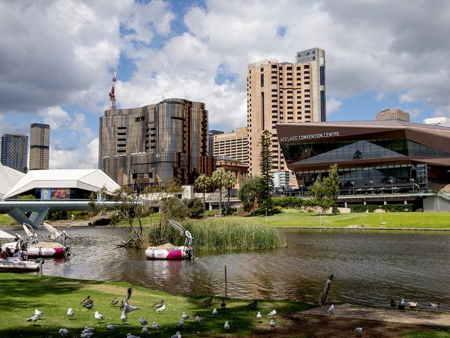 ADELAIDE, AUSTRALIA - NewsWire Photos MARCH 1, 2022: Adelaide skyline generic/stock as seen across the River Torrens from Pinky Flat.  Picture: NCA NewsWire / Naomi Jellicoe