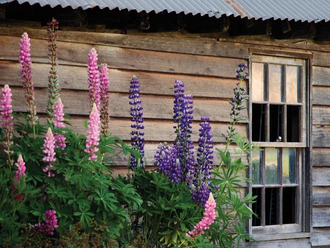 EMBARGO FOR TWAM 09 MAR 2024. FEE MAY APPLY.Tasmanian Gardens by Meg Bignell and Alice Bennett, published by Thames & Hudson Australia, AUD$79.99, available 27 February 2024.Photo: Richard Bennett