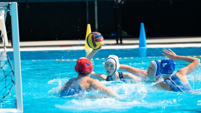 Water Polo Queensland state titles action - pic Zac Hudson.