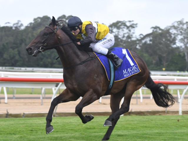 Jonker wins Magic Millions race at Wyong on December 21, 2017. Photo: Steve Hart