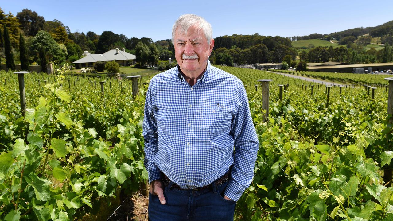 Winemaker Brian Croser poses in the Tiers vineyard at Tapanappa winery in Crafers, South Australia. Picture: Keryn Stevens