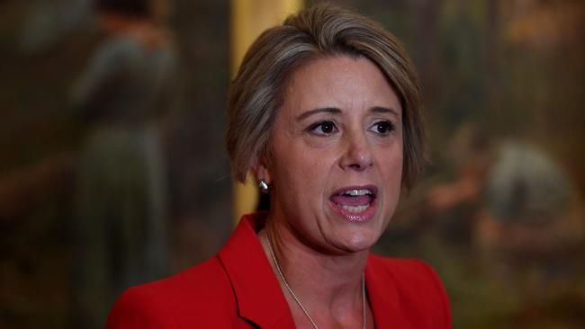 Labor Senator Kristina Keneally speaks to the media during a press conference at the NGV Australia in Melbourne, Saturday, May 11, 2019. A Federal election will be held in Australian on Saturday May 18, 2019. (AAP Image/Lukas Coch) NO ARCHIVING