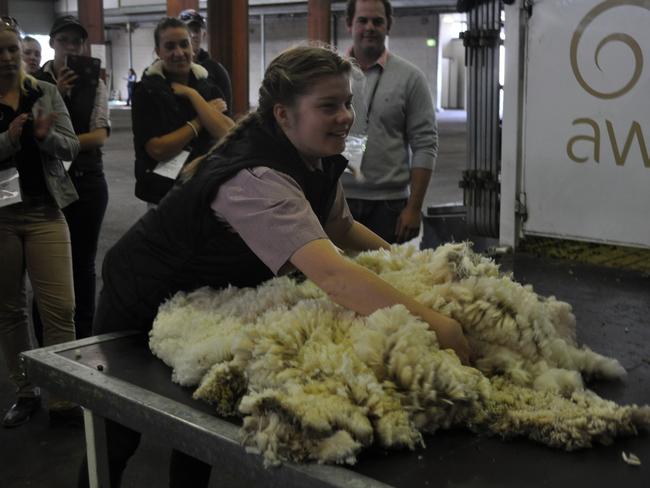 National Merino Challenge | The Weekly Times