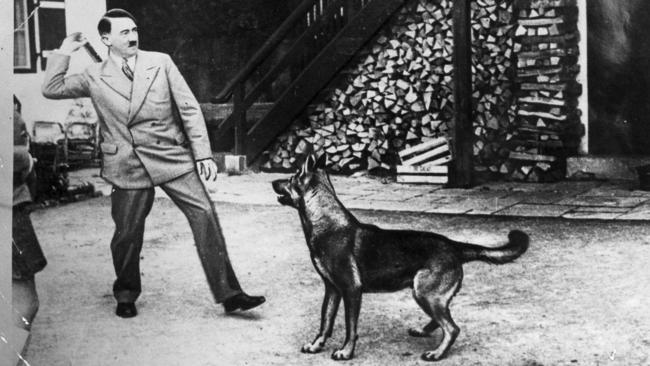 Adolf Hitler and one of his three ‘Blondies’ at his chalet near Berchtesgaden in southern Bavaria in the early 1940s.
