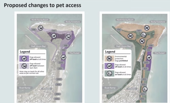 The proposed changes to dog-access at Point Cartwright was endorsed by Sunshine Coast Council. Picture: Council Report