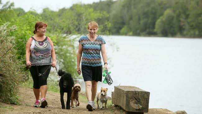 Cheryl Gordon and Gariella McGinley enjoying the Great River Walk with dogs Coco, Sonny and Jack.