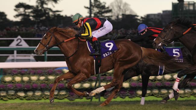 Japan’s Arima Kinen event is known as the “people’s race”. Picture: Japan Racing