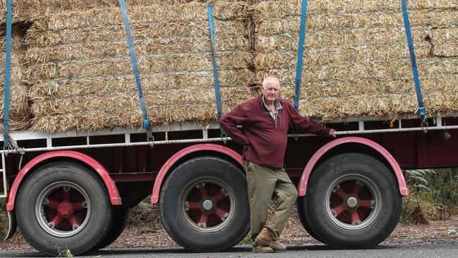 Hay truck driver Ray Pearce is pictured near Stratford in country Victoria on his way to deliver hay to a farm in nearby Fernbank. Picture: Ian Currie