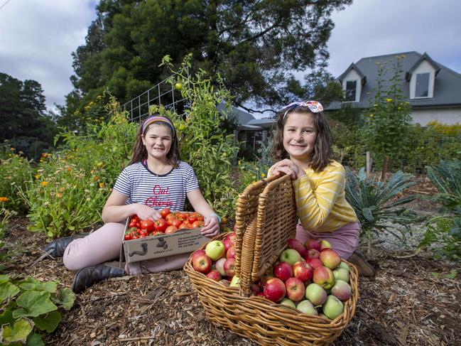 Social isolation haven. Sally and Joseph De Losa Daughters Catie 11 and Rose 8 with some of the produce from their home just west of Ballarat. Picture by Wayne Taylor 26th March 2020