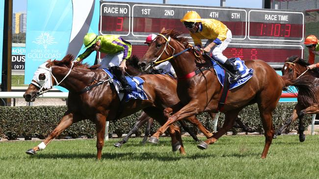 Jockey Jackson Murphy rode Mandela Dreaming to victory in the Ratings Band 0-60 Hcp (1200m) at the Gold Coast Turf Club. Picture: Mike Batterham.