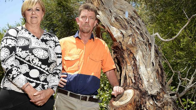 Minda CEO Cathy Miller and maintenance co-ordinator Geoff McKinon alongside one of the native trees that has been left seriously ill on the boundary of its Brighton property, thanks to recent attacks. picture: Bianca De Marchi