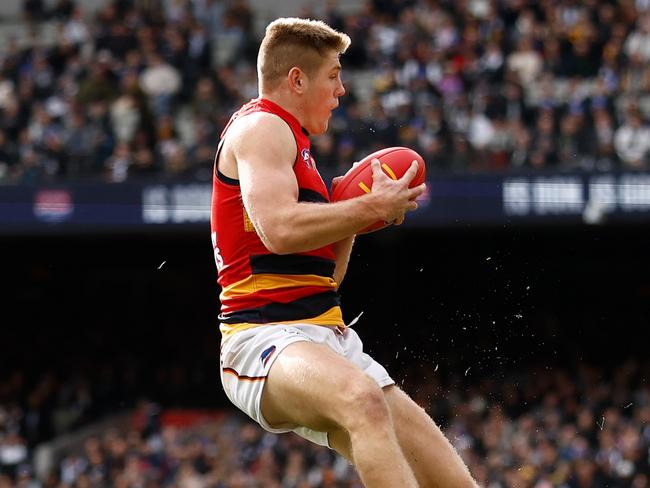 Murray says staying at the Crows was a no-brainer. Picture: Michael Willson/AFL Photos via Getty Images