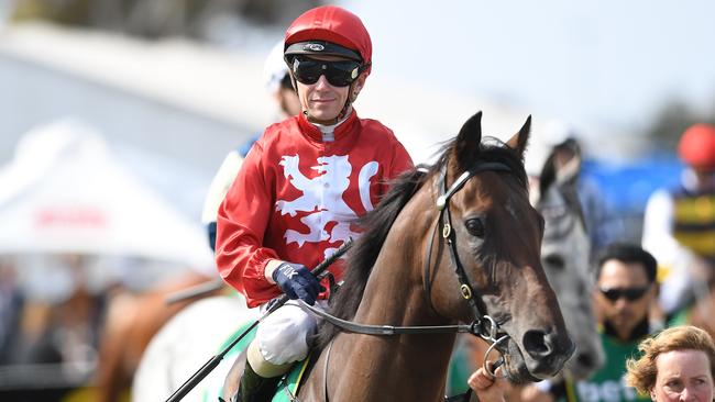 It took time to figure it out, but Runaway is now a stayer and will contest the Melbourne Cup. Picture: AAP