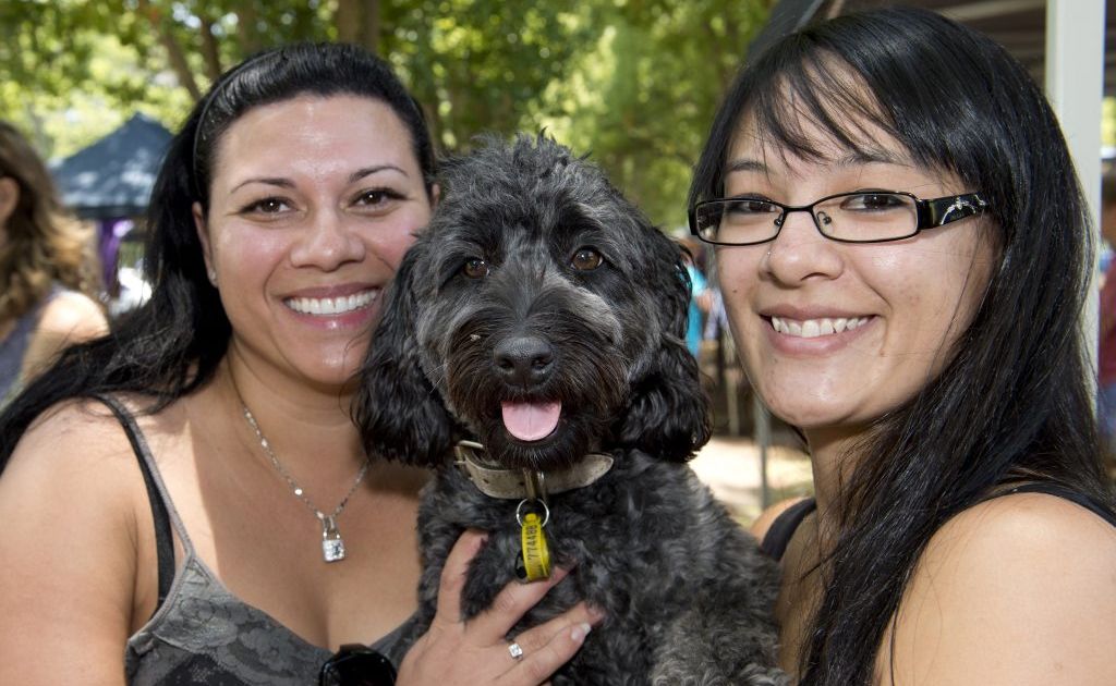 ( from left ) Tandi Mea with Marlee-Jayne Poodle cross Staffie and Nicki Lim at the St Vincents markets . Photo Nev Madsen / The Chronicle. Picture: Nev Madsen