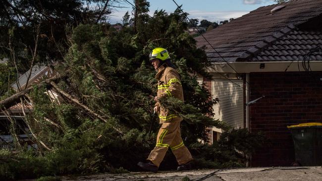 Firies and electrical workers work to clear branches that fell on a powerline in Templestowe due to strong winds. Picture: Jake Nowakowski