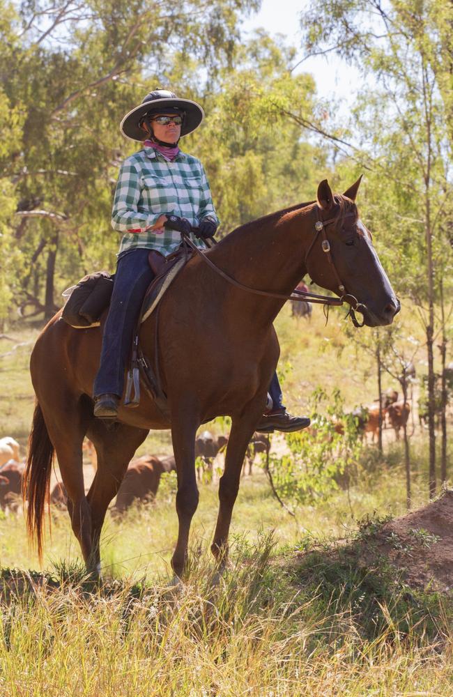 Attendees worked together with volunteer drovers to guide the cattle during the Eidsvold Cattle Drive 2024.