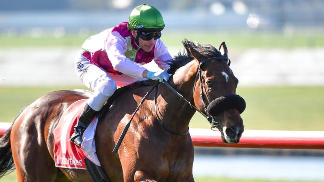 Matt Laurie-trainer mare Delicious Tycoon has been banned for 12 months. Picture: Vince Caligiuri/Getty Images