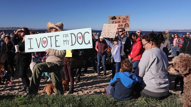 Dog owners and their four-legged friends at a recent Kingston Beach rally about Kingborough Council's dog management policy plans. Picture: LUKE BOWDEN