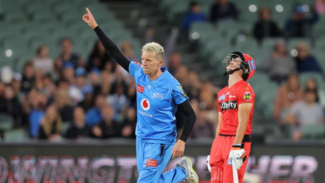 ADELAIDE, AUSTRALIA – JANUARY 05: Peter Siddle of the Strikers celebrates during the Big Bash League match between the Melbourne Renegades and the Adelaide Strikers at Adelaide Oval, on January 05, 2021, in Adelaide, Australia. (Photo by Daniel Kalisz/Getty Images)