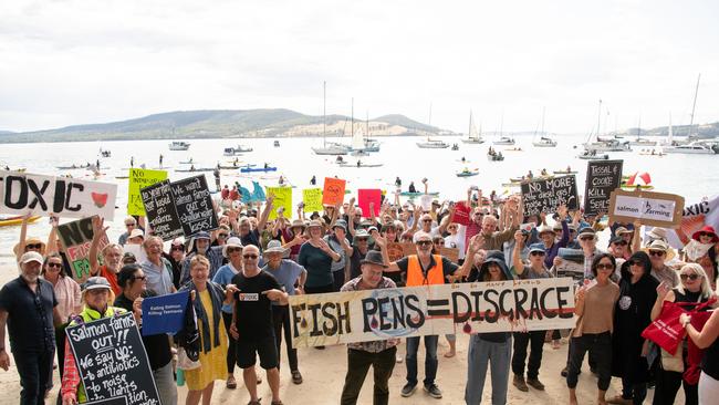 Anti-salmon farm protestors against industrial feedlots in Tasmania's D'Entrecasteaux channel. Picture: Amy Brown