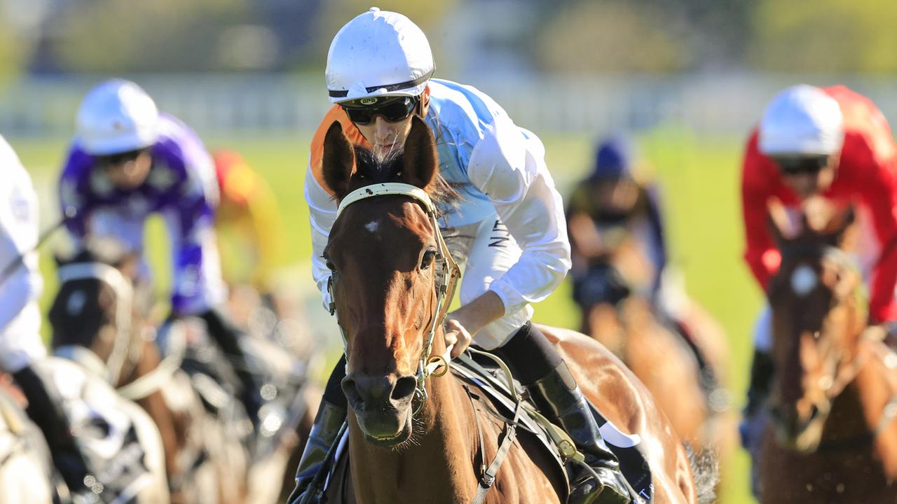 Weekend Best Bets: Randwick, Caulfield and Gold Coast horse racing tips ...