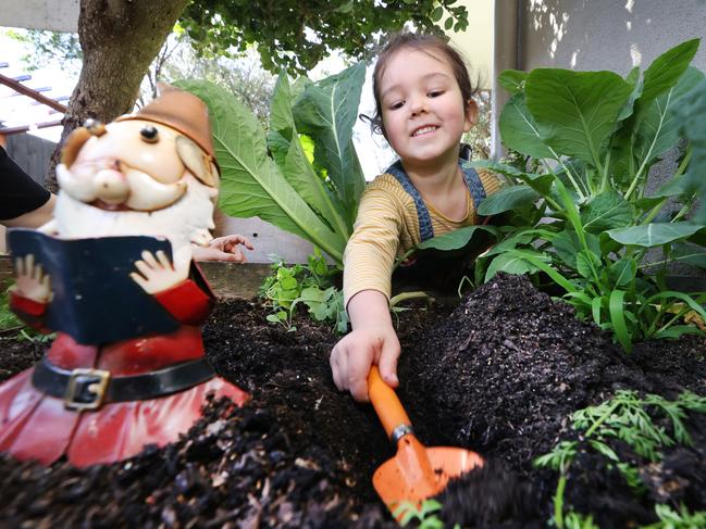 National and state winner Essex Heights Juniors in Victoria is the only centre to get a perfect 10. Lola, 4, tends to the kinder veggie garden. Picture: David Caird