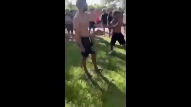 Large Group Get Into A Brawl At Apex Park 