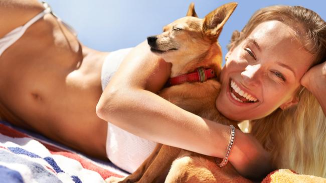 Some people find happiness from their pets. Picture: istock