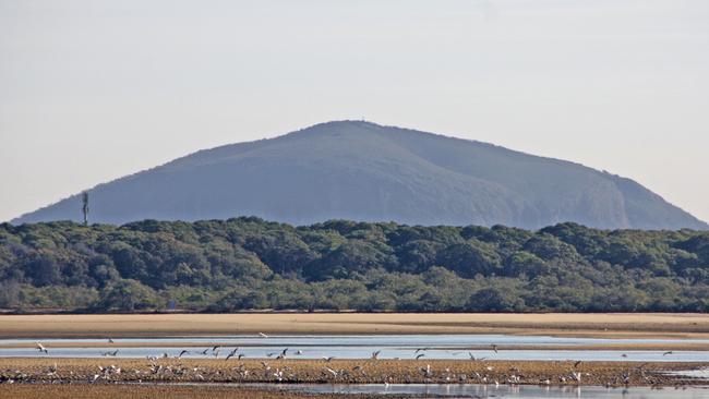 The view across the Maroochy River to Mt Coolum on the Sunshine Coast.