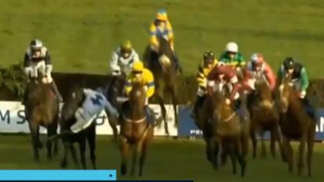 Jockey falls from horse, but regains control and wins.