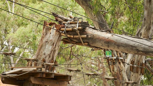 A large gum tree branch snapped at TreeClimb in Adelaide on Sunday, Jan. 16, 2022. Picture: Matt Loxton.