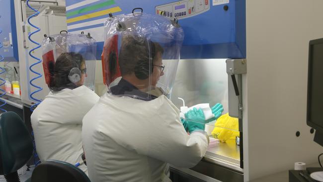 CSIRO scientists at work on the virus that causes COVID19. Picture: CSIRO