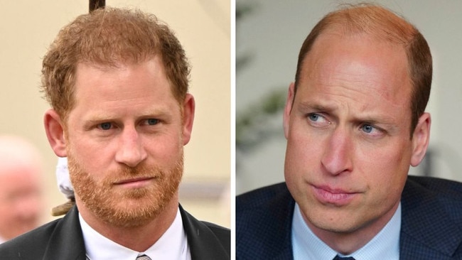 Prince William and Prince Harry