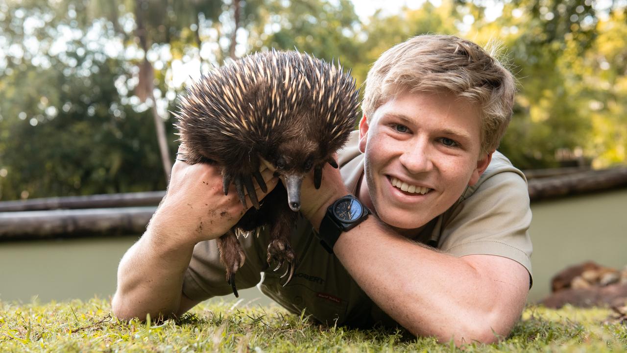 robert irwin australia zoo show