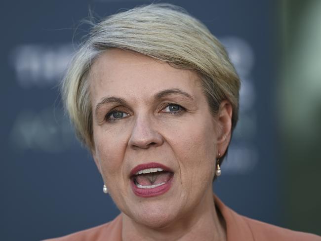 Minister for the Environment and Water Tanya Plibersek.