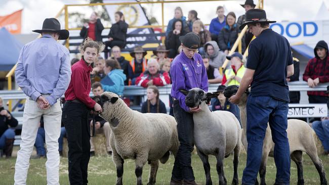 Ram judging at a previous Agfest at Carrick. Picture: CHRIS KIDD