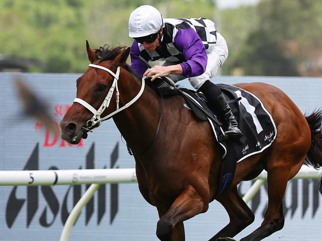 SYDNEY, AUSTRALIA - JANUARY 18: James McDonald riding Osipenko win Race 7 Asahi Super Dry January Cup during Sydney Racing at Rosehill Gardens Racecourse on January 18, 2025 in Sydney, Australia. (Photo by Jeremy Ng/Getty Images)