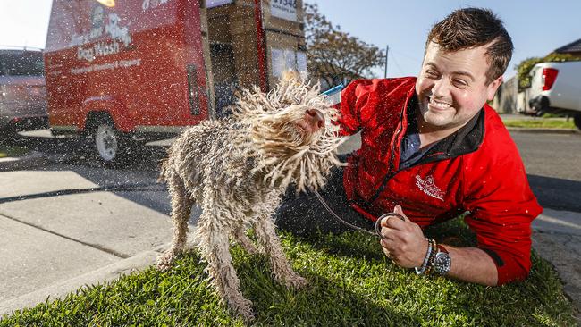 LuLu gets a long-awaited wash from Jarred Curtis from Jim’s Dog Wash Brighton. Picture: Alex Coppel.