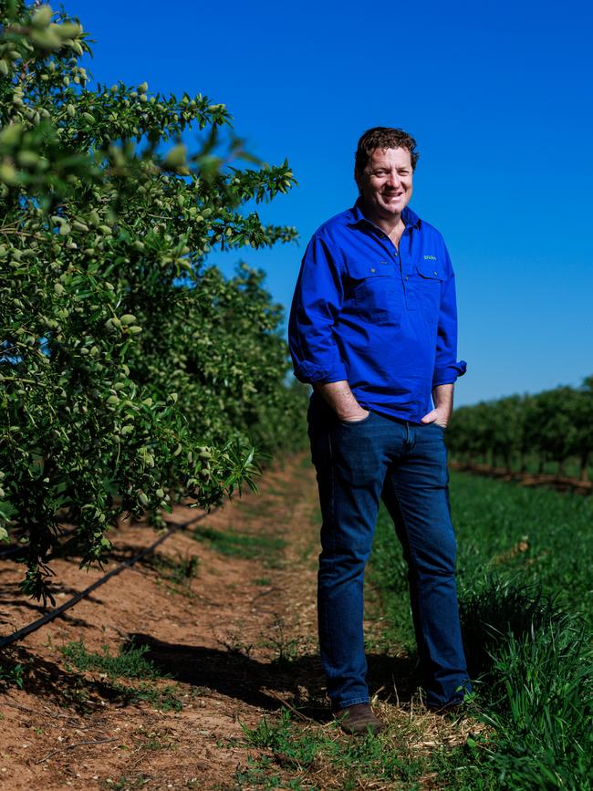 GoFARM managing director Liam Lenaghan in an almond crop at their Maplestone Orchard near Katunga in northern Victoria.