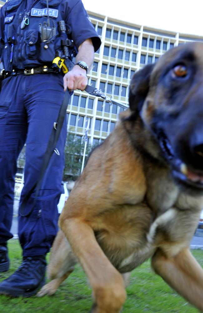 A dog was killed after a police dog was attacked.