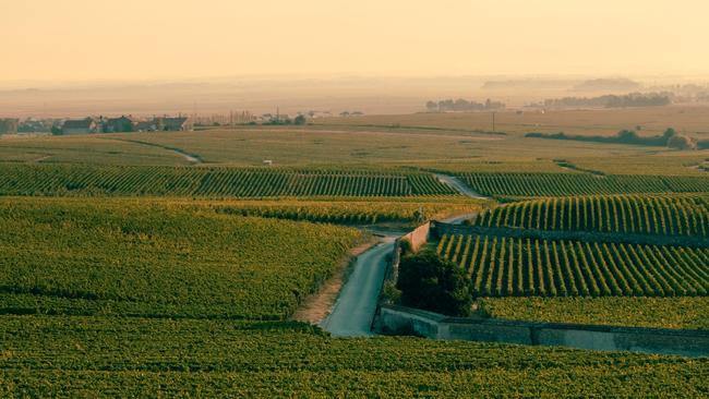 Spread over rolling hills, the Veuve Clicquot vineyards are in an optimal position to catch the sun’s rays. Picture: Roman Laprade.