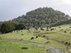 Dairy farmers’ voices ignored