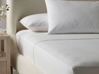 Cotton Flannelette Sheet Set Picture: Myer