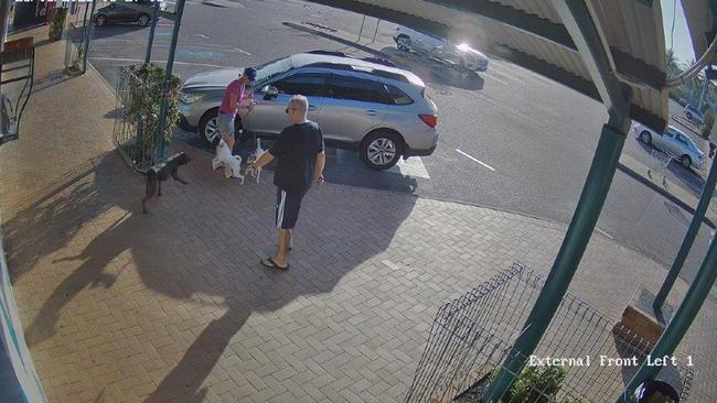 The ‘mongrel’ dog approached the woman outside the shopping centre on Sunday. Picture: Peter Poniris