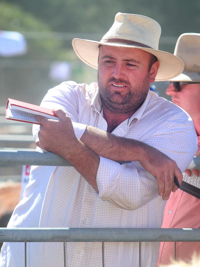 Elders Yea livestock manager Jamie Quinlan at the Benambra sale. Picture: Yuri Kouzmin