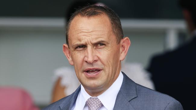 Chris Waller prepares the promising Zarastro who resumes at Canterbury on Wednesday. Picture: Getty Images